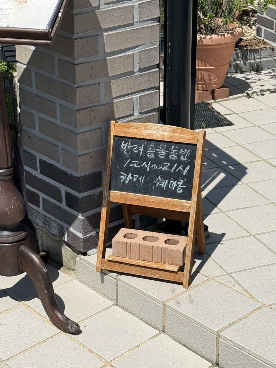 쉐마롱 사진 5
