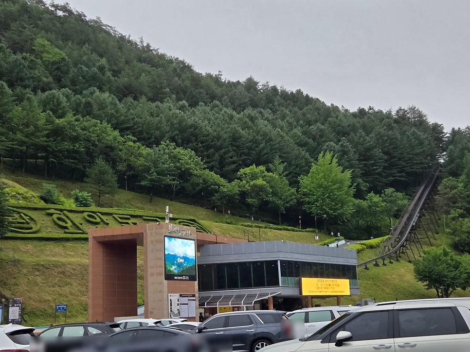 드립스톤 사진 1