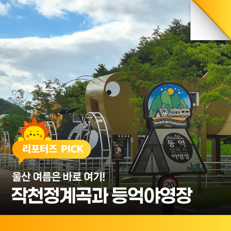 울산 여름은 바로 여기! 작천정계곡과 등억야영장 예약 방법 총정리