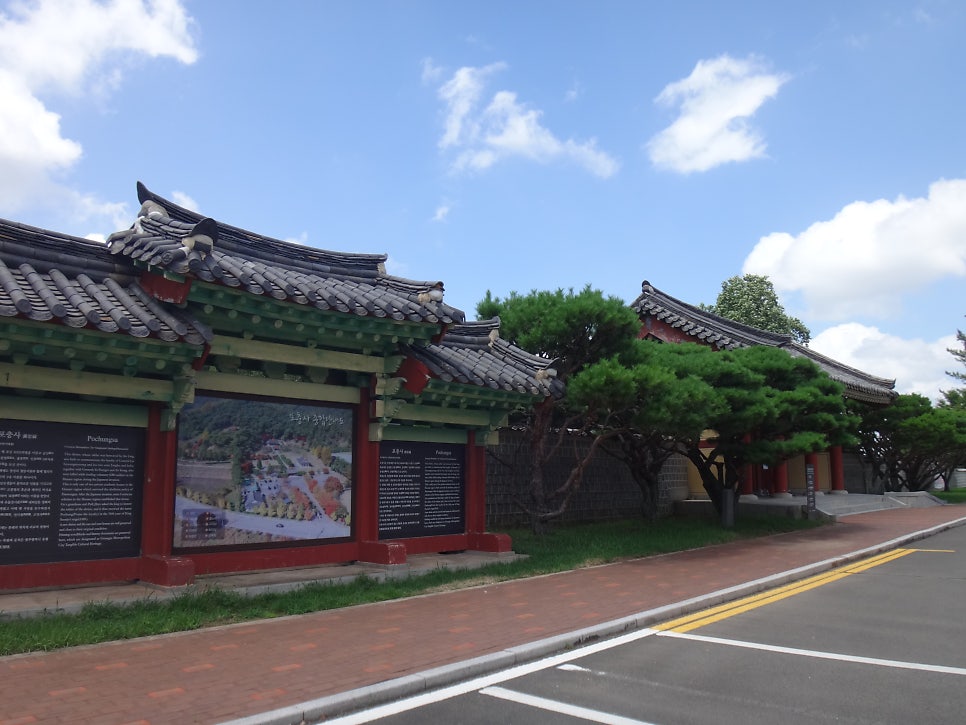 부산갈매기 사진 1