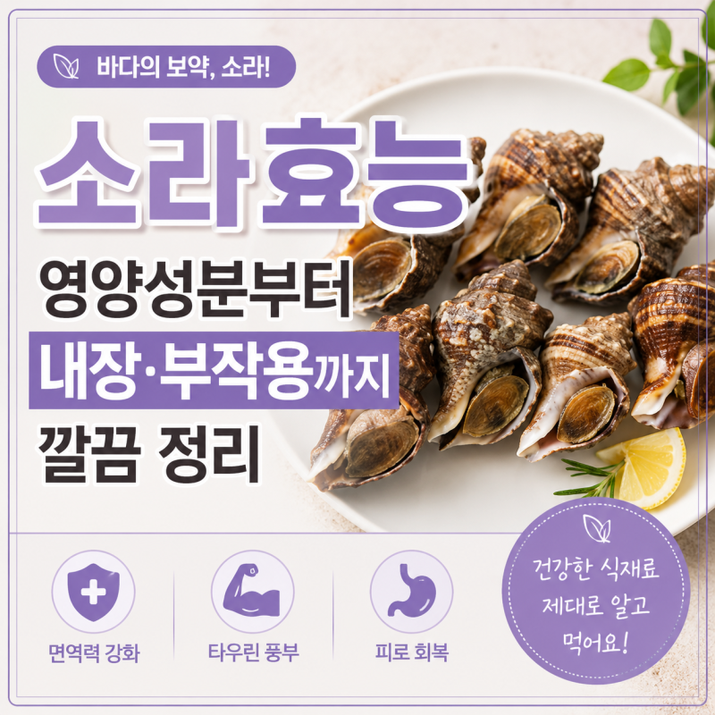 소라효능 영양성분부터 내장 부작용까지 깔끔 정리