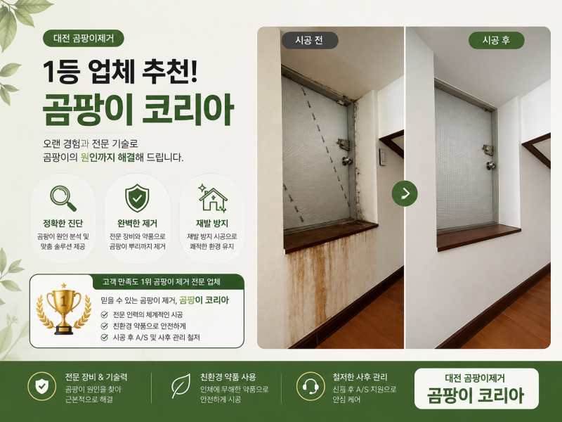 대전 벽지 곰팡이 제거 업체 시공 후기, 침대 뒤가 검게 번져 있었어요