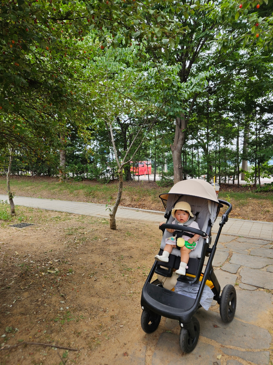 바람부리명태찜 사진 1