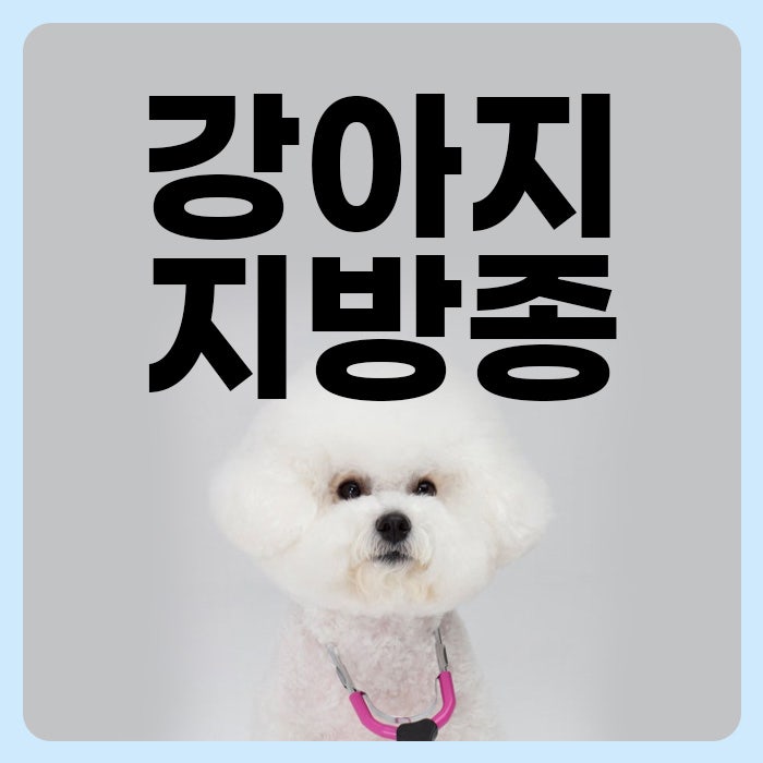 강아지 지방종 종양 제거수술 비용, 단순한 혹이라 생각하고 미루면 안 되는 이유