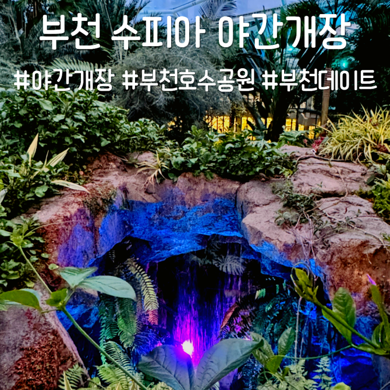 부천 수피아 식물원 야간개장 예약 및 주차