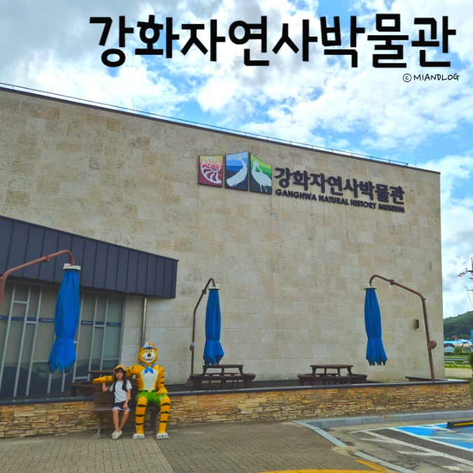 강화자연사박물관 사진 1