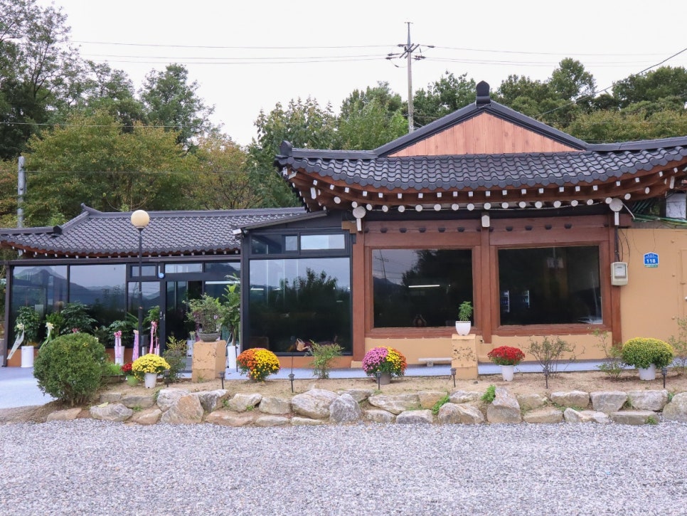 들꽃 사진 1