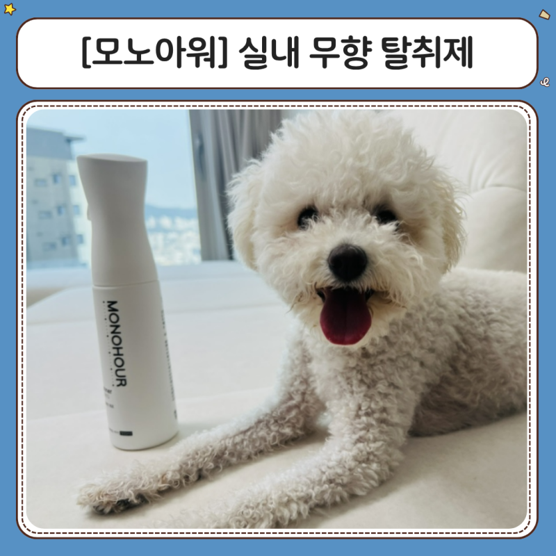 모노아워 무향탈취제, 반려동물 강아지 고양이 집사라면 추천하는 비건 실내탈취제