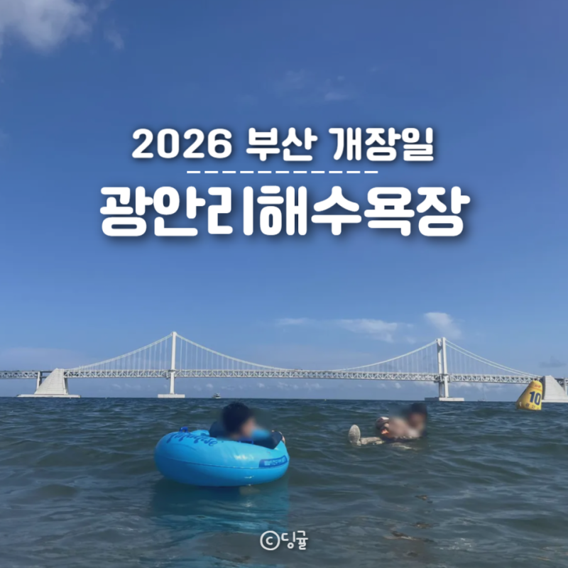 8월 가볼만한곳 부산 광안리해수욕장 개장 주차장 파라솔 튜브 대여 샤워실