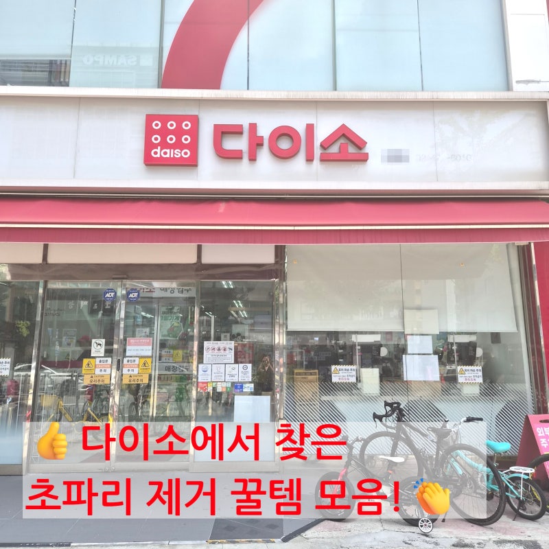 매번 눈살 찌푸려지셨죠? 다이소에서 찾은 초파리&악취 제거 꿀조합(발포 세정제)