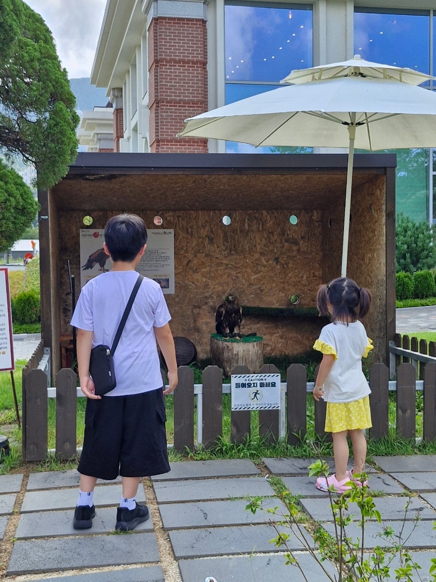 가평베고니아새정원 사진 3