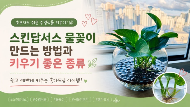 초보자도 수경식물 키우기 쉬워요! ｜스킨답서스로 쉽게 시작하는 물꽂이 식물 종류와 만드....