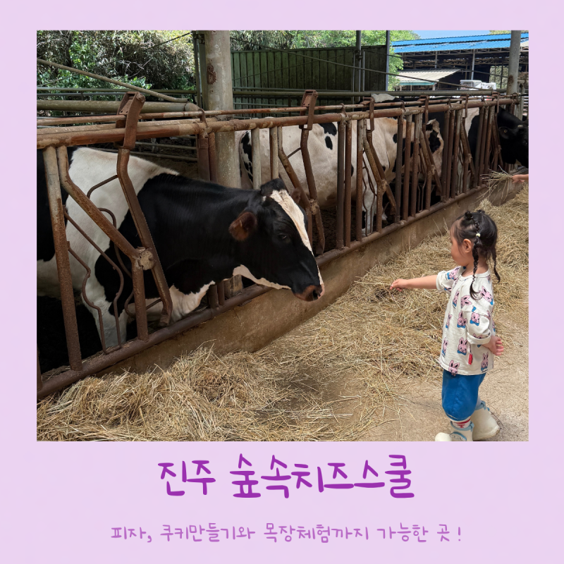 진주 아이랑 체험 | 피자, 쿠키 만들기 체험부터 목장체험까지 가능한 진주 숲속 치즈스쿨