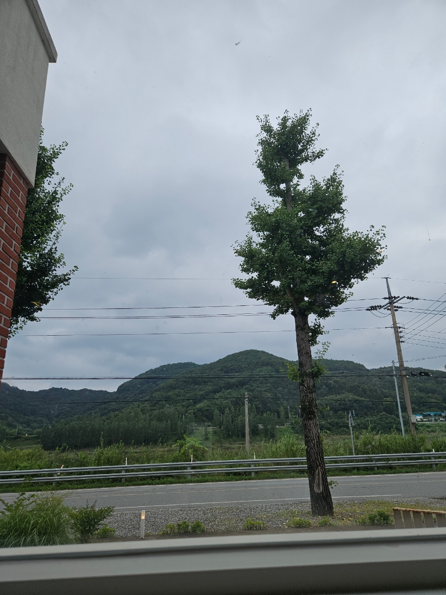 내재 사진 5