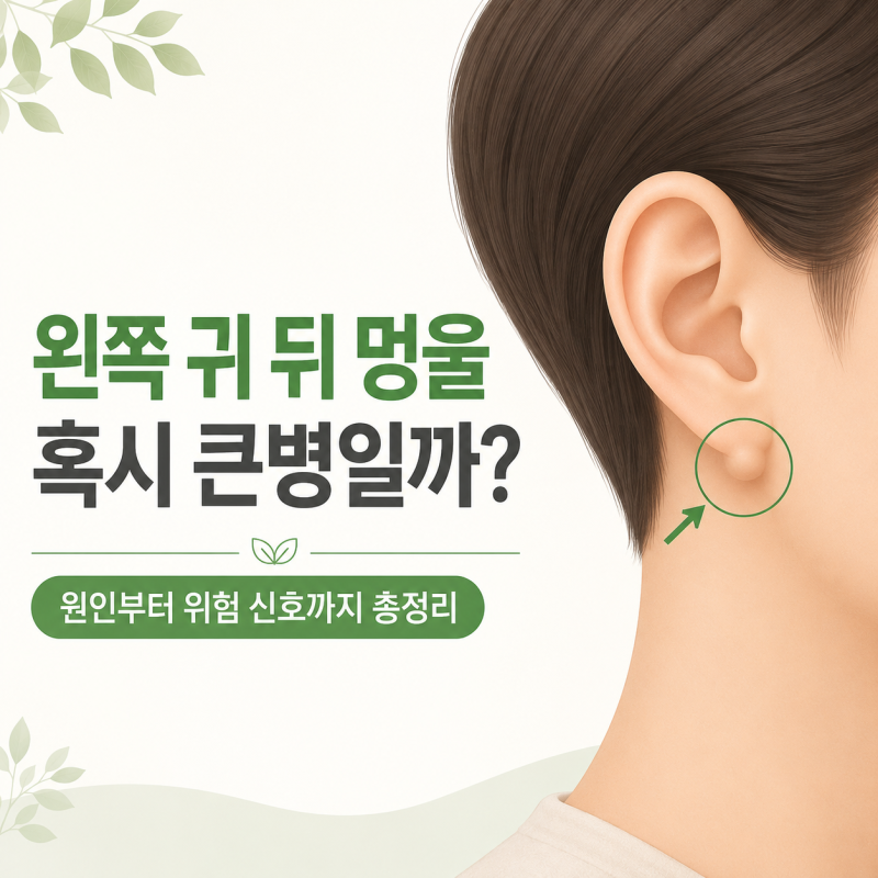 왼쪽 귀 뒤 멍울, 혹시 큰병일까? 원인부터 위험 신호까지 총정리