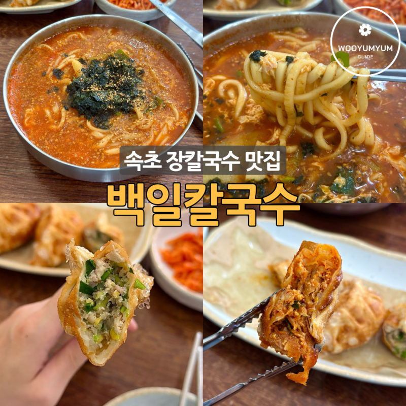 속초 장칼국수 맛집 백일칼국수 자가제면이라 면발이 미쳤다..