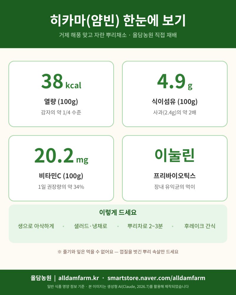 히카마(얌빈) 완벽 가이드 — 영양성분·먹는 법·보관법 FAQ