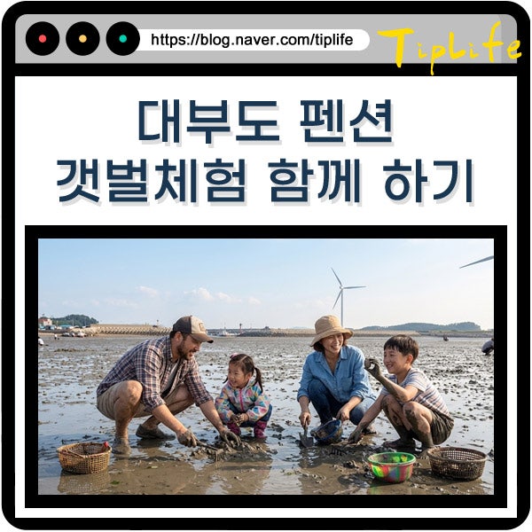 대부도 갯벌체험 휴가철 펜션 어디가 좋을까? 숙소 추천 예약 팁 준비물 정리