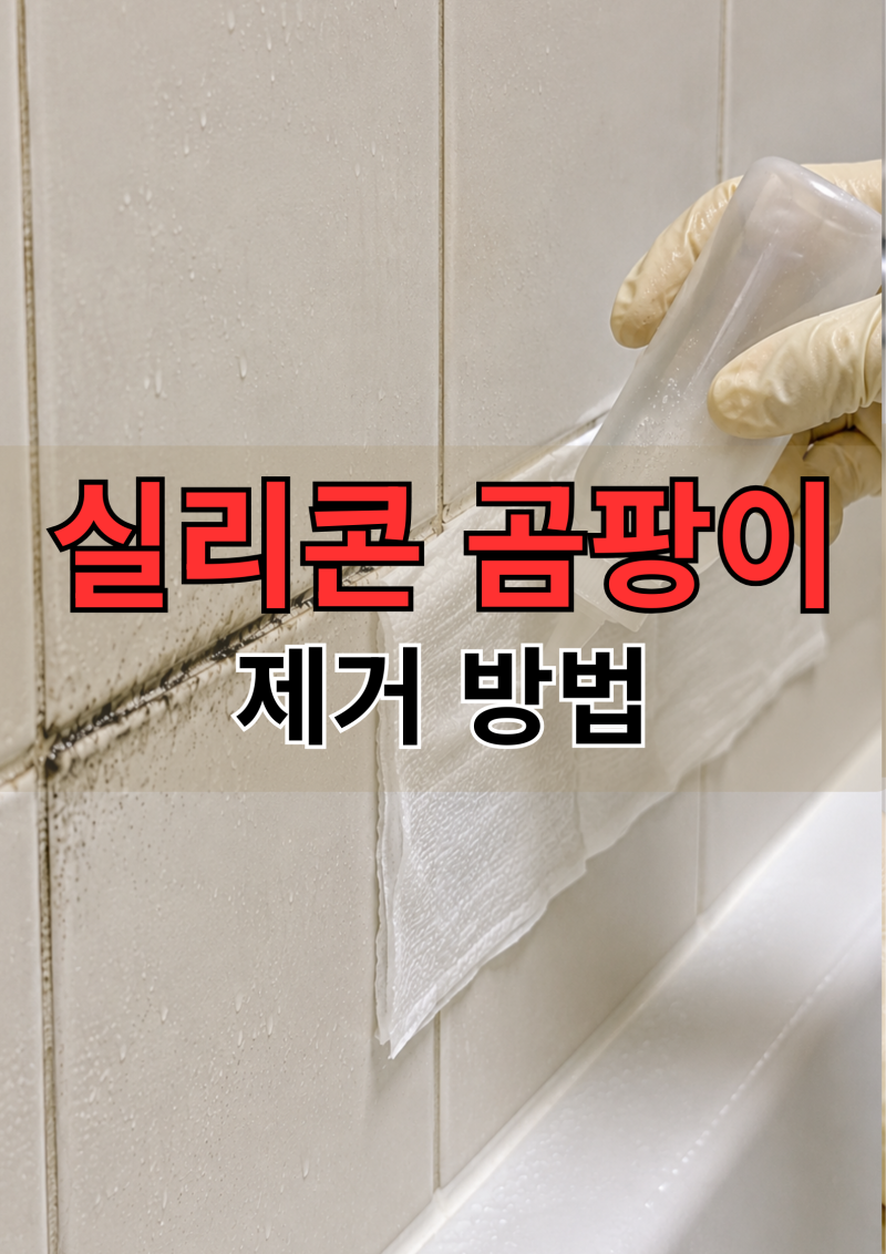 화장실곰팡이제거 방법, 실리콘 곰팡이제거 락스로 쉽게 관리하는 법