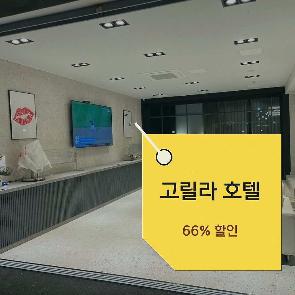 고릴라호텔 사진 2