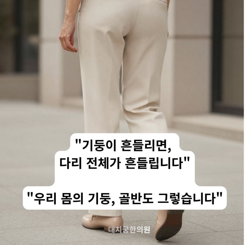 "나이 들어서 그런가 보다" 넘겼던 그 통증, 폐경 후 치골·고관절 통증이었습니다(대치동한....