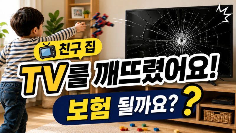 일상생활배상책임이란? 친구 집 TV를 깨뜨렸다면 보험으로 해결될 수 있을까요?
