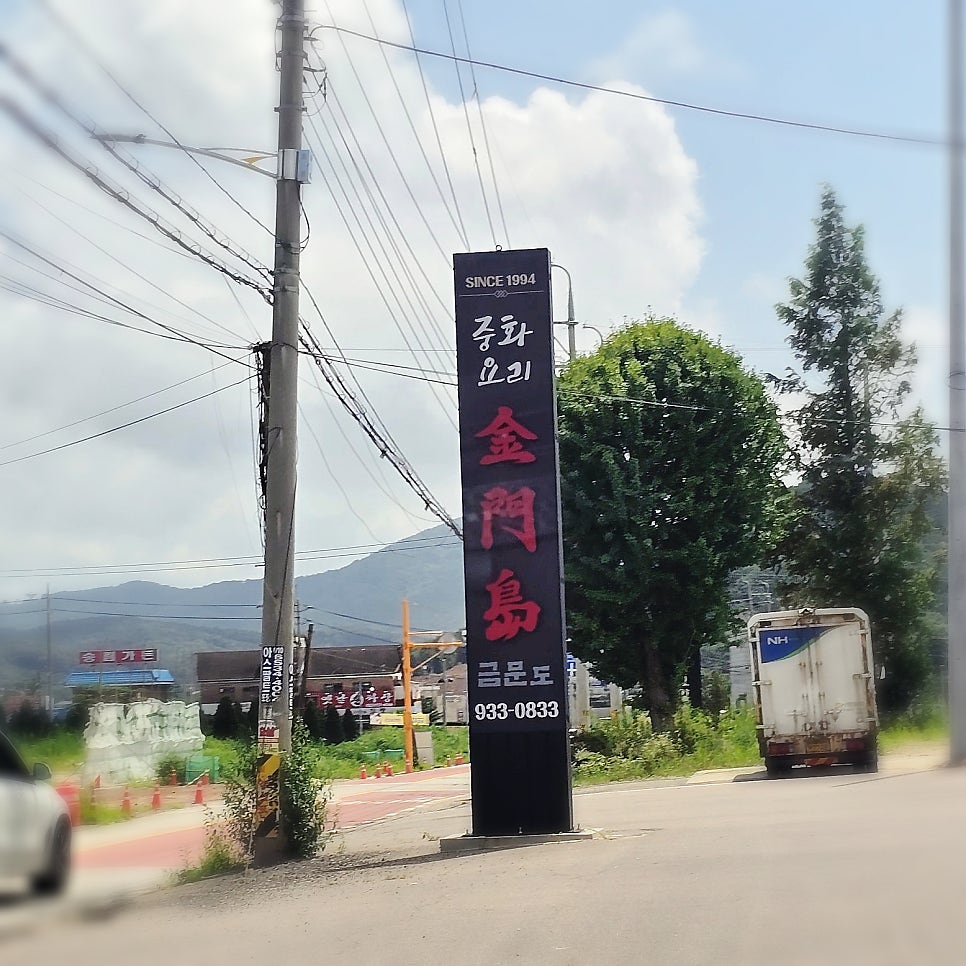 순무 사진 3