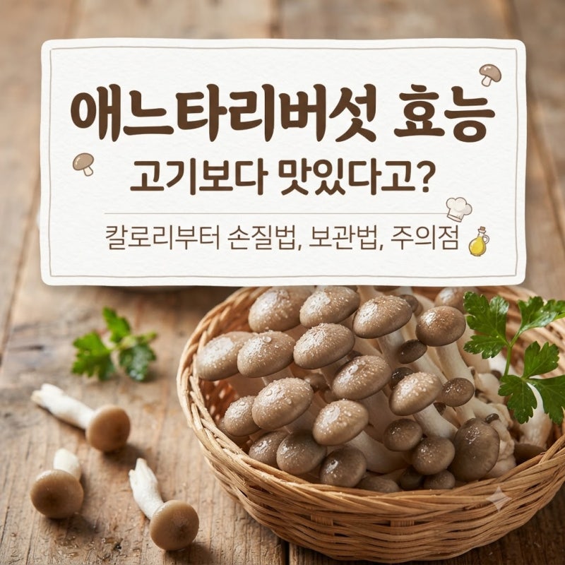 애느타리버섯 효능, 고기보다 맛있어요? 칼로리부터 손질법 보관법 주의점까지 총정리