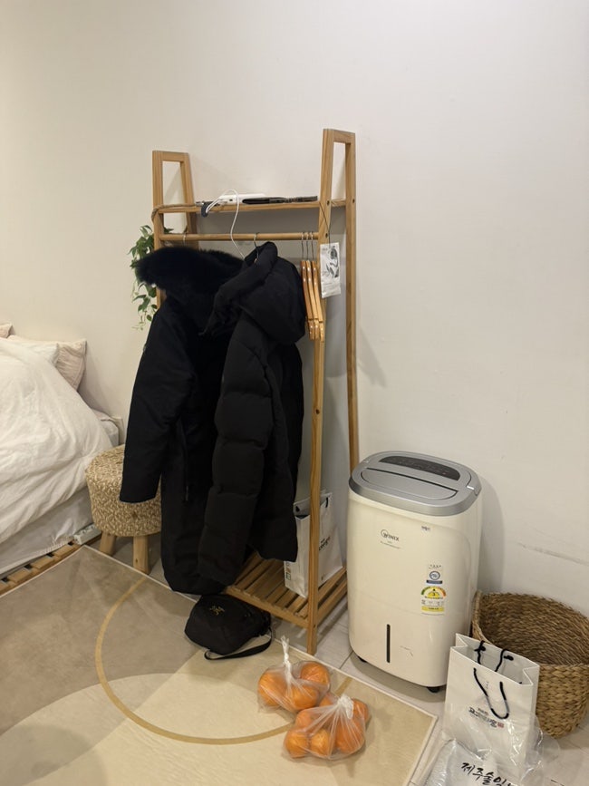 포니제주 사진 2