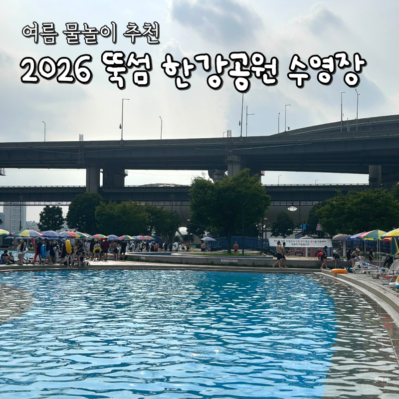 2026 뚝섬 한강공원 수영장 직접 다녀온 후기｜준비물·요금·운영시간·자리·외부음식 총정....