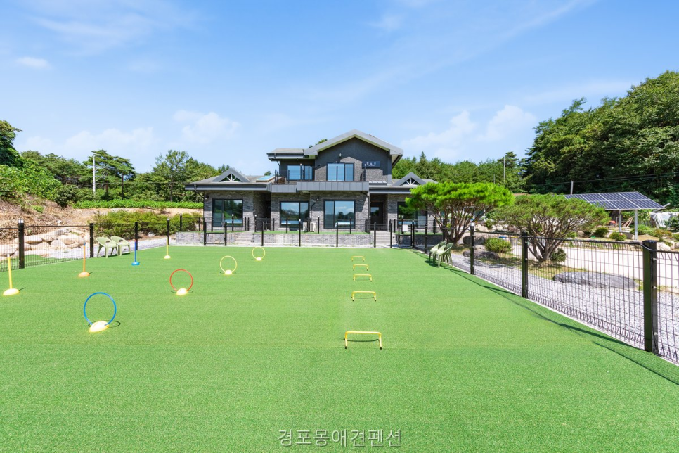 경포몽애견펜션 사진 2