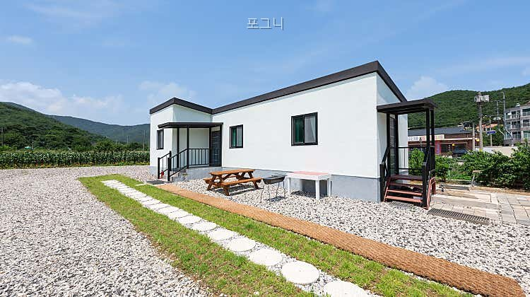 포그니 사진 1