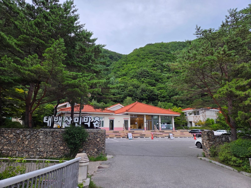 태백산 민박촌 예약부터 객실 내부, 솔직한 장단점 총정리 (국립공원공단 숙소)
