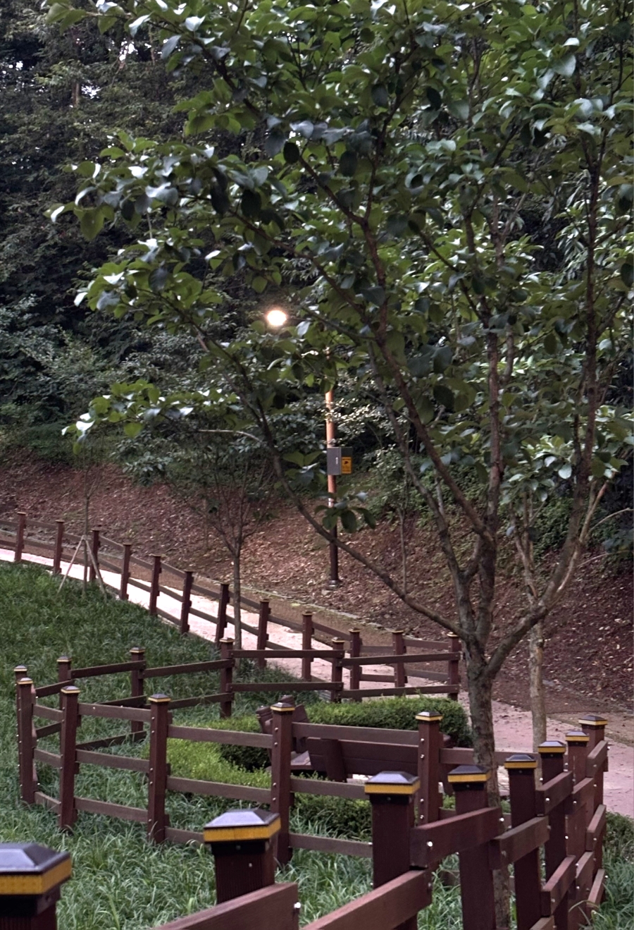 남산 사진 4