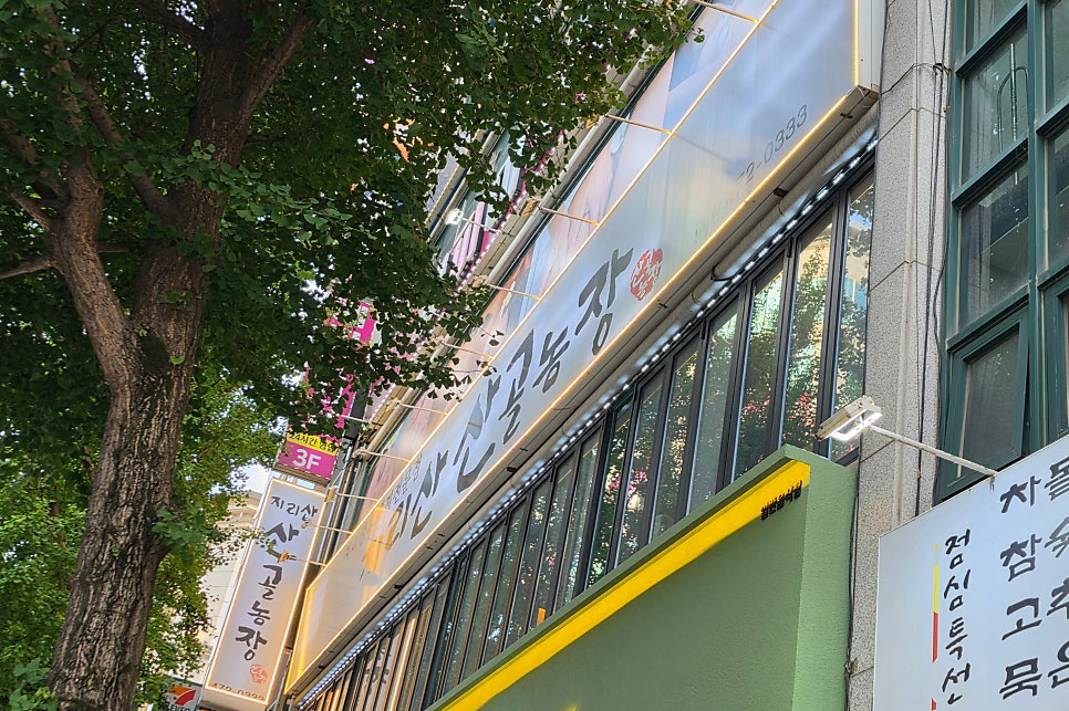 지리산산골농장 사진 5