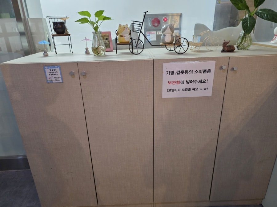 삼층고양이 사진 4