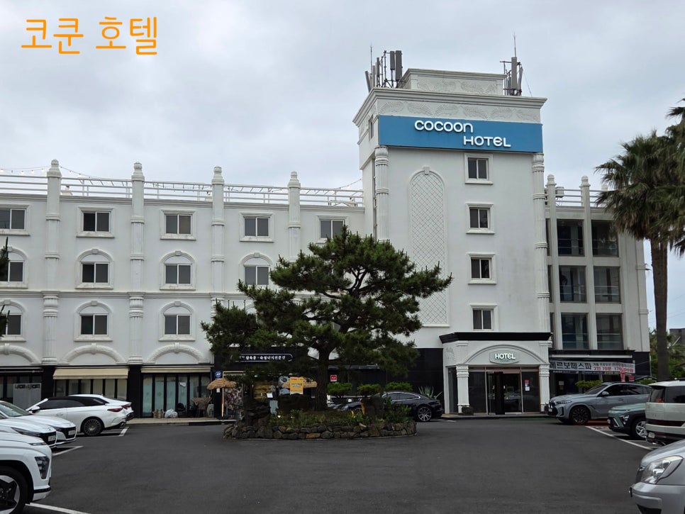 바다사랑그리고추억 사진 2