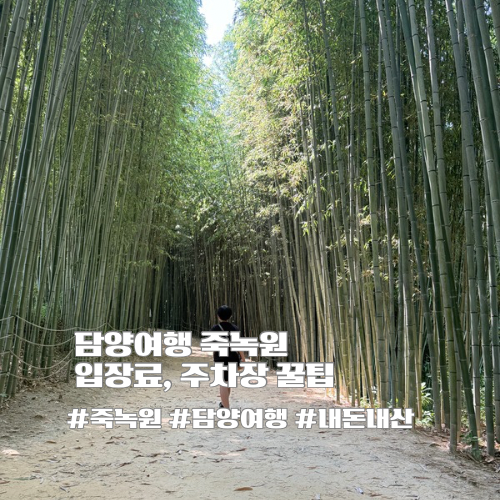 담양여행 추천 죽녹원 입장료, 주차장 정보 꿀팁, 개구멍 뜻