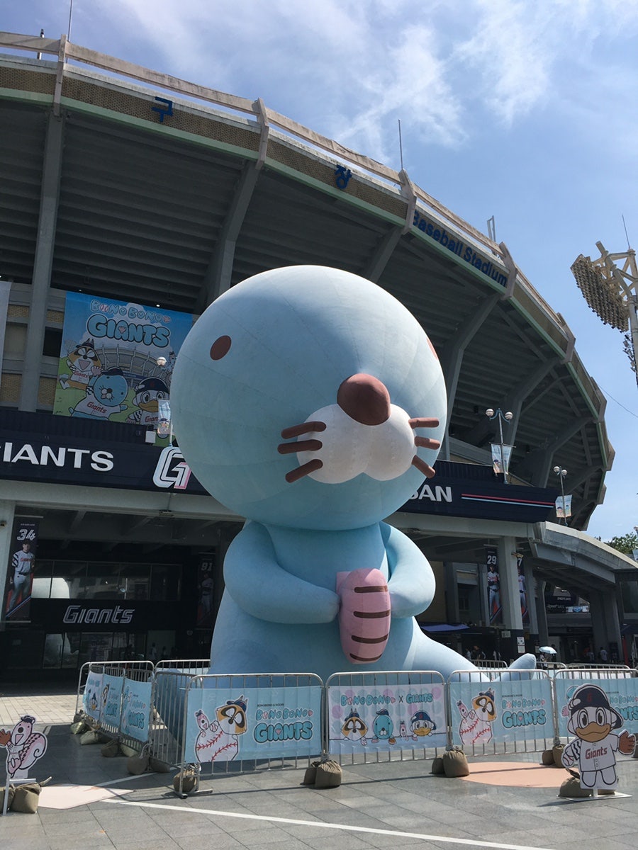정선수제닭강정 사진 3