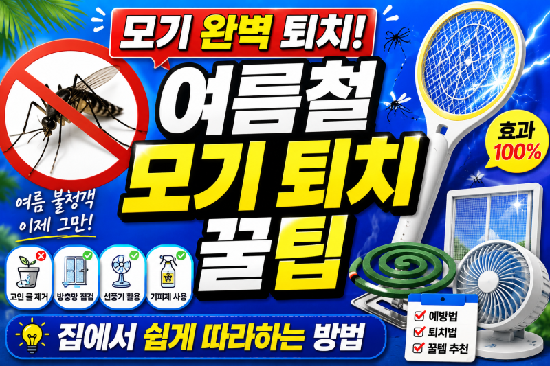 여름철 모기 퇴치 꿀팁 10가지｜집 안 모기 없애는 가장 효과적인 방법