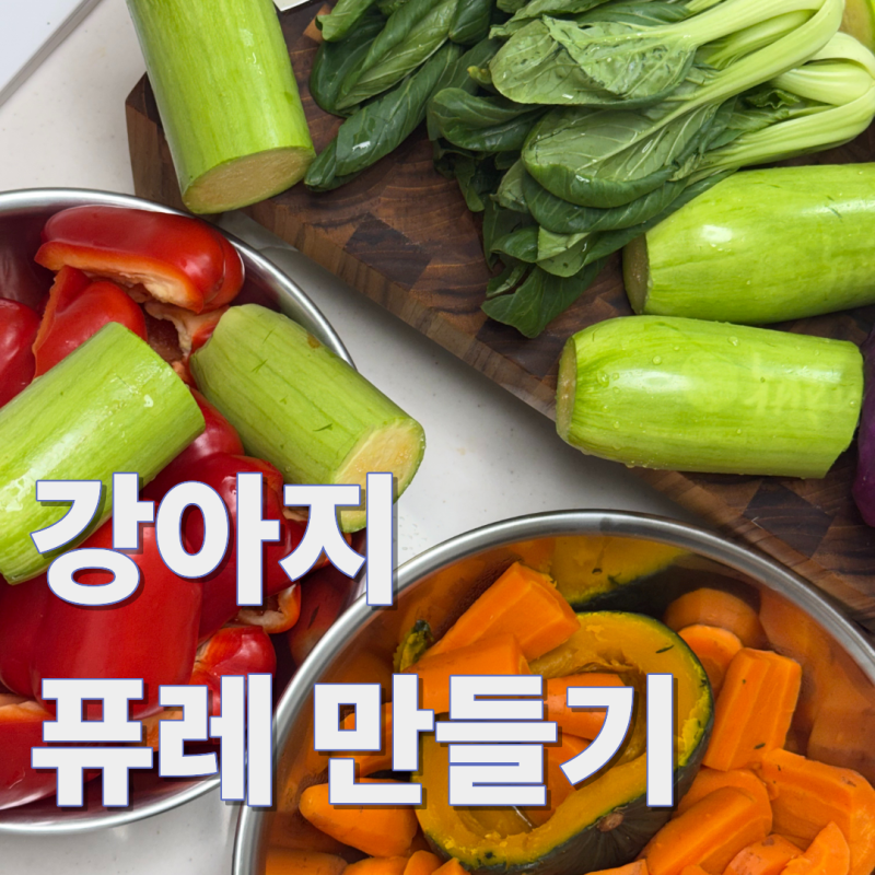 강아지 퓨레 만들기 I 노령견 과일퓨레 야채퓨레 만드는법