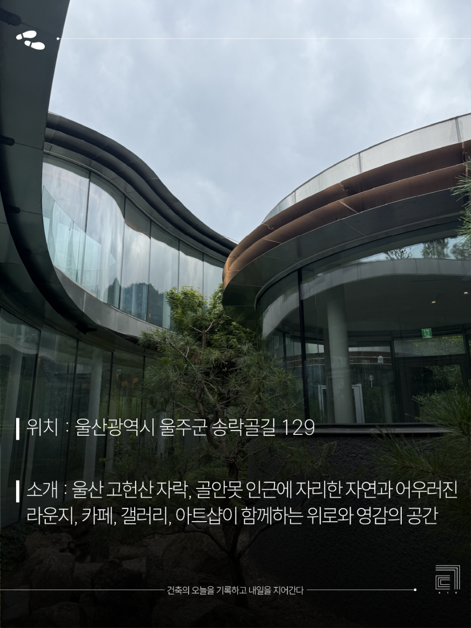 미지의 사진 3
