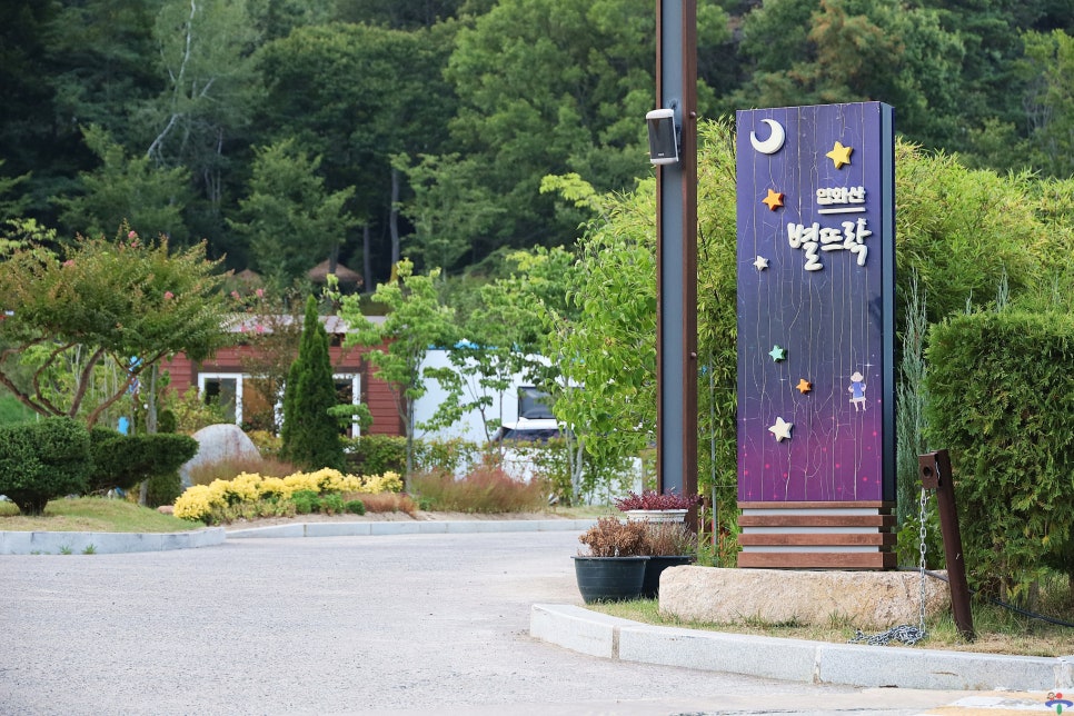 뜨락 사진 2