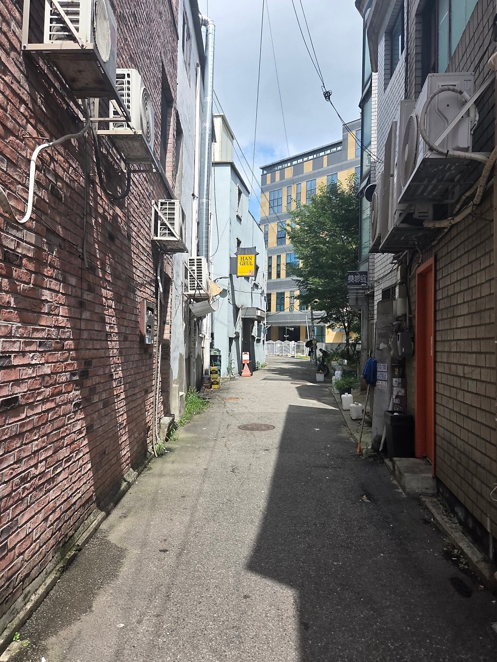 리본 사진 2