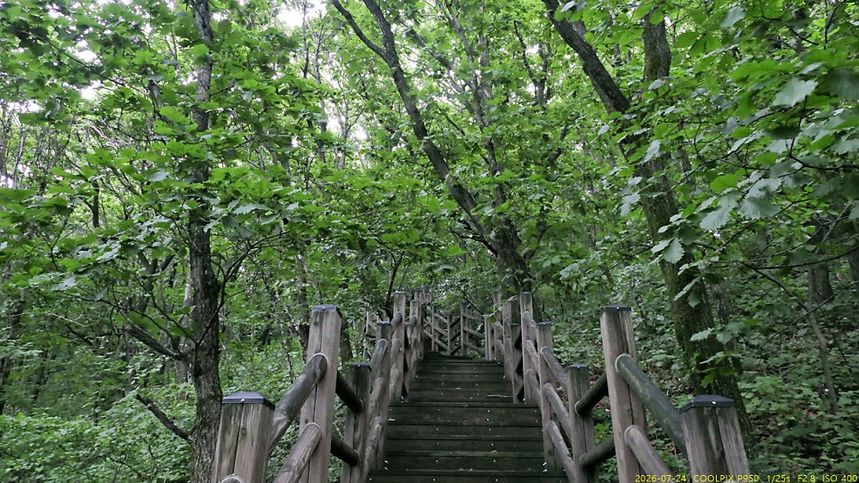 대덕산 사진 6