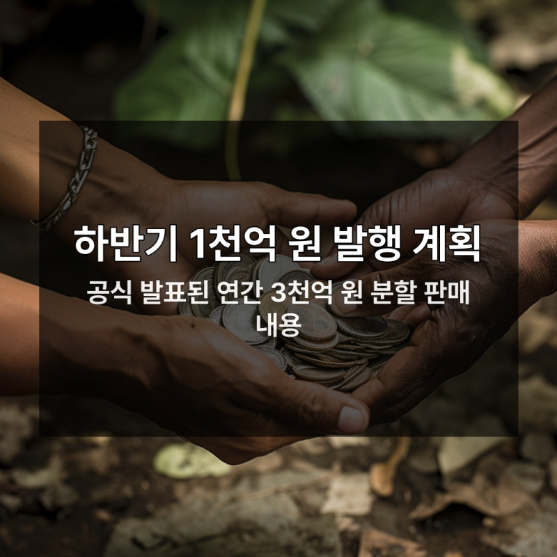 대구 시민들 비상 대구로페이 8월 충전 일정 필독