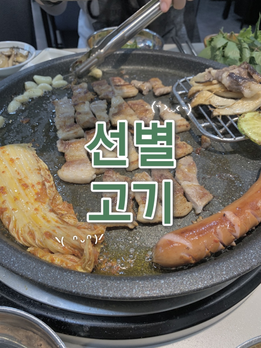 선별고기 사진 1