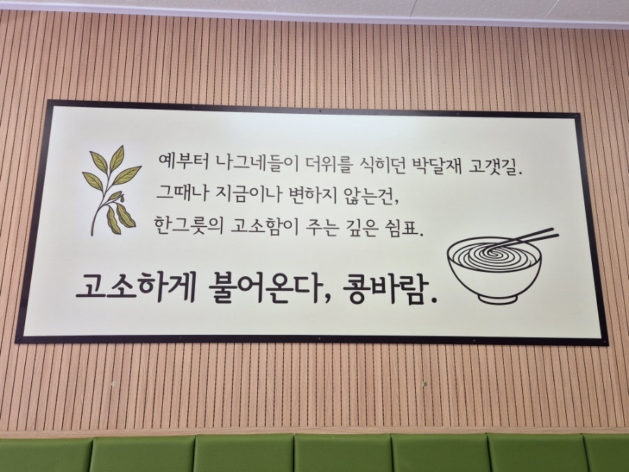 콩바람 사진 5