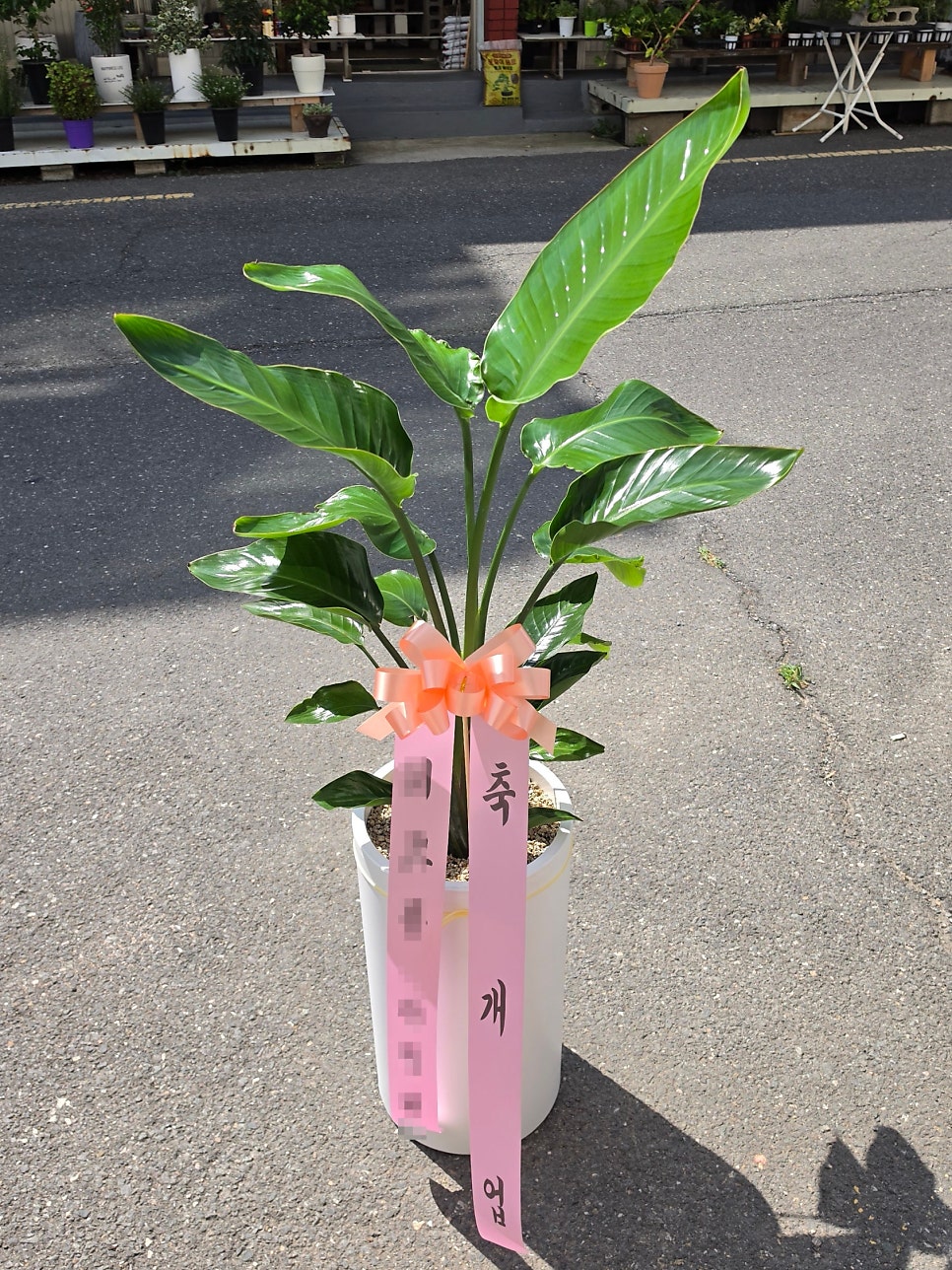 왓더버거 다대포점 사진 5