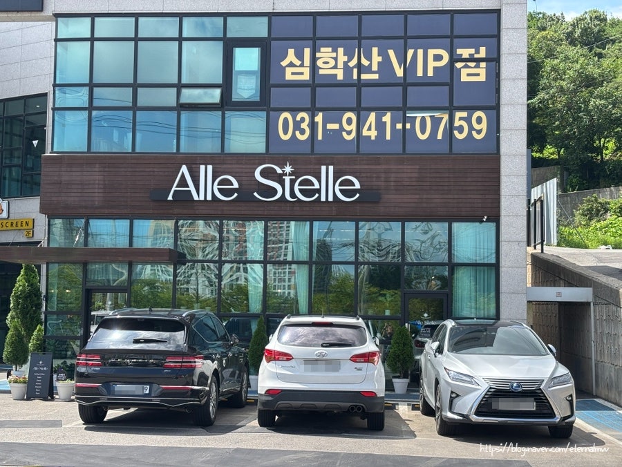 알레스텔레 사진 2